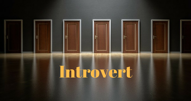 Utilizatori introvert - online profiling