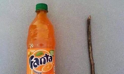 cuvinte cheie, articole seo, ntentie de cautare la saussure